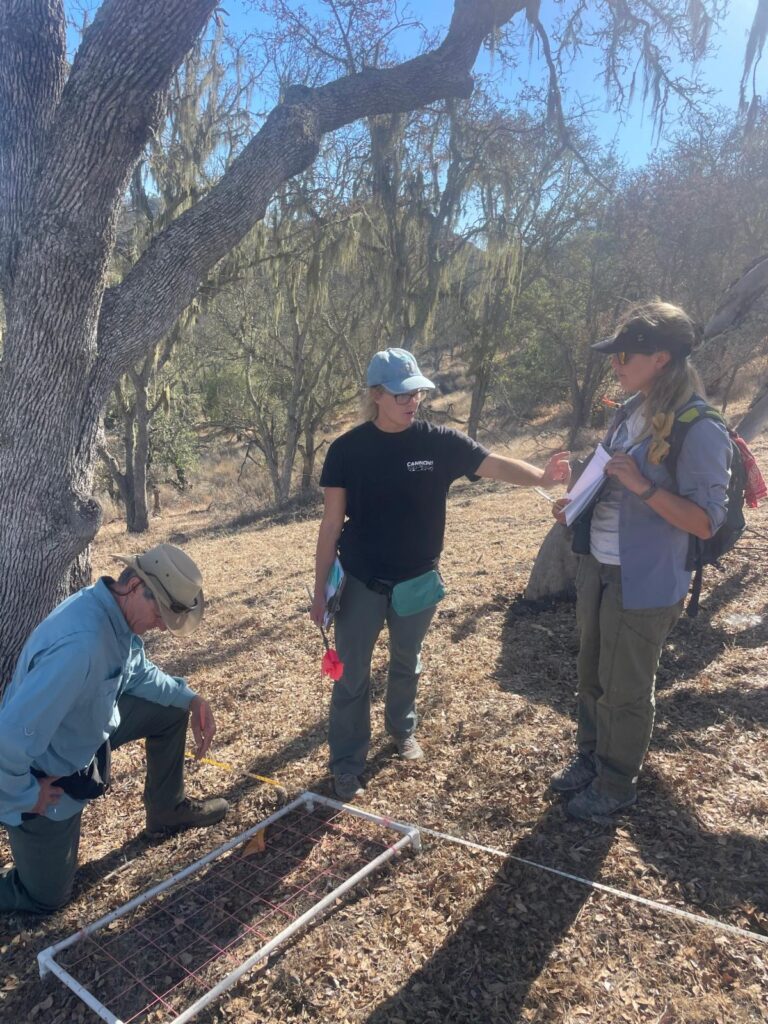 Active Research at Sedgwick Reserve