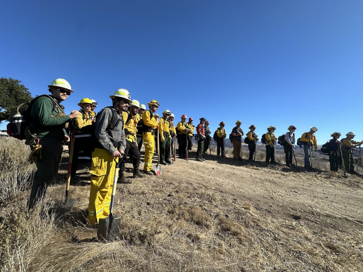 Fire personnel in line on hill with blue skies behind